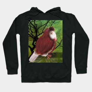 Capuchin Pigeon Hoodie